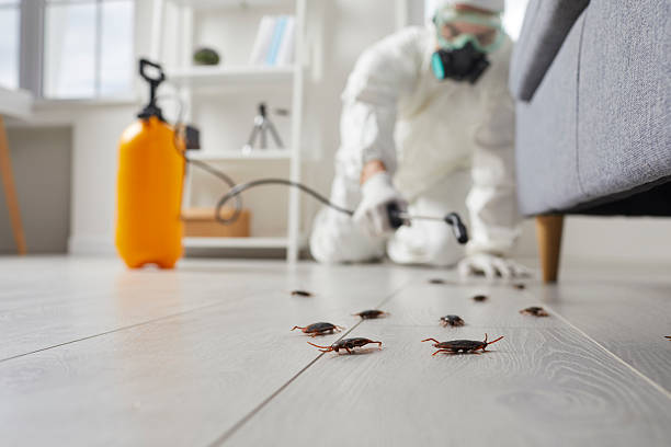 Commercial Kitchen Cockroach Control in Albia